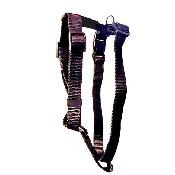Small DOG Harness ~ No-Pull, H-Type, 5/8" Nylon Web-Strap ~ Adjustable 14"- 20" - Picture 1 of 11